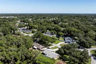 9740 Fairway Cir, Leesburg, FL 34788 - Photo 47