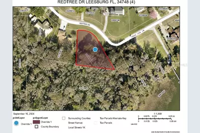 Redtree Drive, Leesburg, FL 34748 - Photo 9