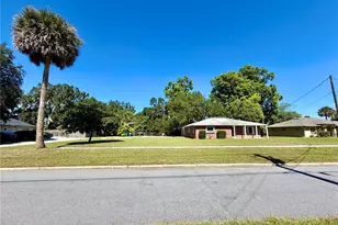 208 Palm Way, Tavares, FL 32778 - Photo 3