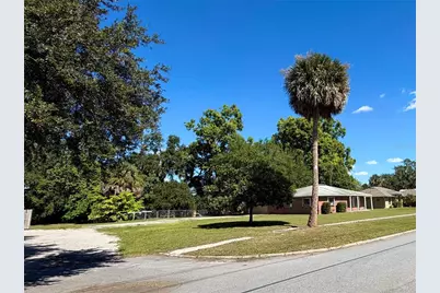 208 Palm Way, Tavares, FL 32778 - Photo 41