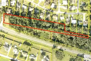 Palm Dr, Yalaha, FL 34797 - Photo 1