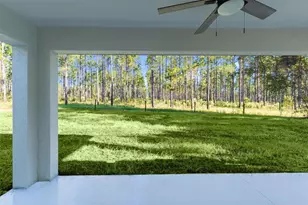 21 Malauka Pass Trail, Ocklawaha, FL 32179 - Photo 31