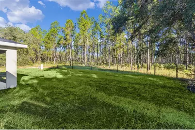 21 Malauka Pass Trail, Ocklawaha, FL 32179 - Photo 35