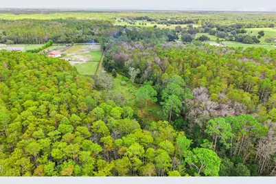 8449 Bay Lake Road, Groveland, FL 34736 - Photo 15