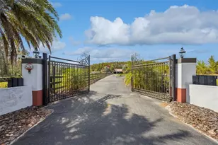 8515 Bay Lake Rd, Groveland, FL 34736 - Photo 3