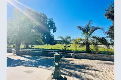 9669 SE 49th Terrace, Webster, FL 33597 - Photo 7