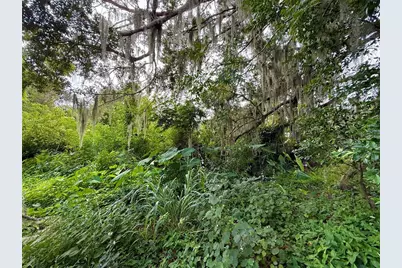 696 N Sunset Drive, Mount Dora, FL 32757 - Photo 19