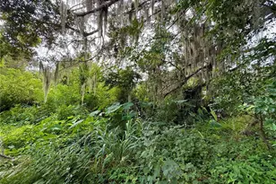 696 N Sunset Dr, Mount Dora, FL 32757 - Photo 19