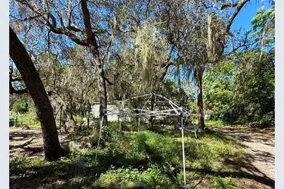 696 N Sunset Drive, Mount Dora, FL 32757 - Photo 7