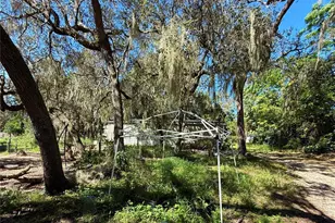 696 N Sunset Dr, Mount Dora, FL 32757 - Photo 7