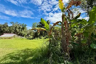 696 N Sunset Dr, Mount Dora, FL 32757 - Photo 11