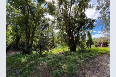 696 N Sunset Drive, Mount Dora, FL 32757 - Photo 5