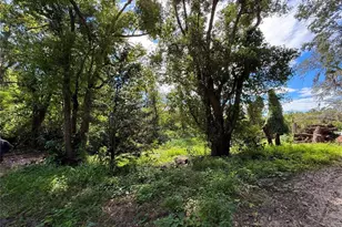 696 N Sunset Dr, Mount Dora, FL 32757 - Photo 5