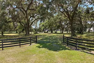 Co Rd 204, Oxford, FL 34484 - Photo 1