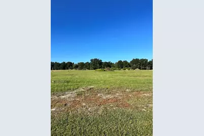 38793 Ranch Gate Boulevard, Umatilla, FL 32784 - Photo 1