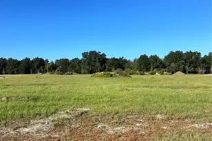 38793 Ranch Gate Blvd, Umatilla, FL 32784 - Photo 1