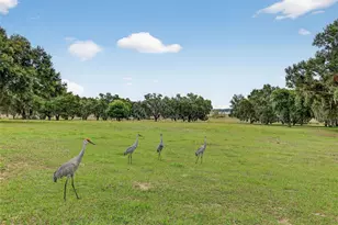 8810 County Rd 561, Clermont, FL 34711 - Photo 13