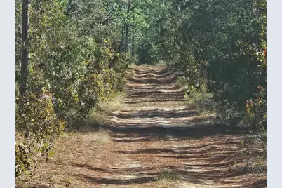 13099 SW 92nd Place, Dunnellon, FL 34432 - Photo 3