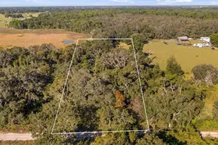 23158 E Loop Rd, Groveland, FL 34736 - Photo 17