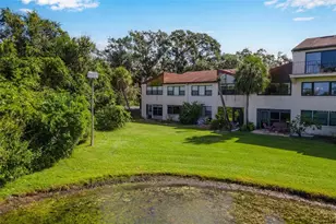 4300 Baywood Blvd, Mount Dora, FL 32757 - Photo 39