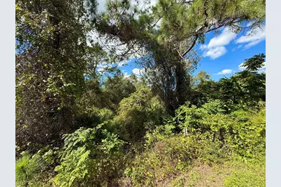 Lot 11 Royal Trails Road, Eustis, FL 32736 - Photo 9