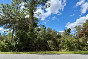 Lot 11 Royal Trails Rd, Eustis, FL 32736 - Photo 1