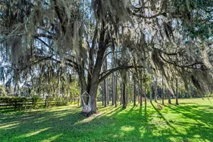 15636 N Hwy 329, Reddick, FL 32686 - Photo 3
