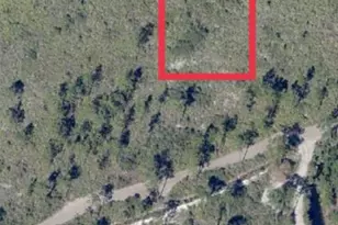 00 Holopaw Groves Rd, Saint Cloud, FL 34772 - Photo 1