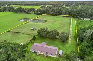 1814 Cr 739, Webster, FL 33597 - Photo 41