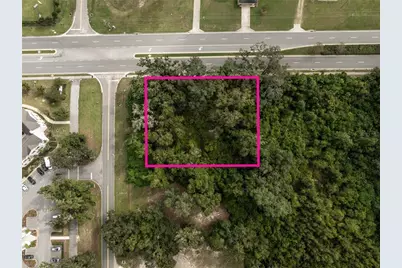 6974 Powell Road, Wildwood, FL 34785 - Photo 5