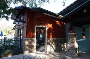 4033 Arlington Ridge Blvd, Leesburg, FL 34748 - Photo 59