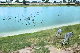 5835 Tupper Ct, The Villages, FL 32163 - Photo 35