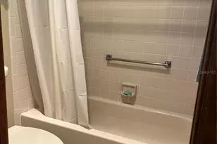 1107 Golf Club Ct, Mount Dora, FL 32757 - Photo 15