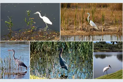 8208 Nice Way, Sarasota, FL 34238 - Photo 57