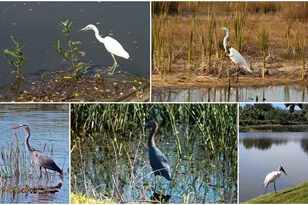 8208 Nice Way, Sarasota, FL 34238 - Photo 57