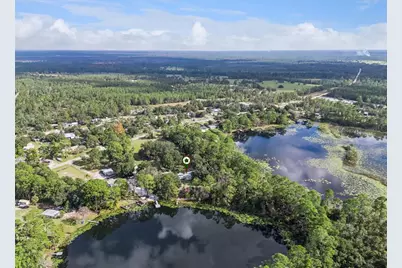 42211 Maggie Jones Road, Paisley, FL 32767 - Photo 23