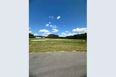 20276 Shoreline Ranch Lane, Umatilla, FL 32784 - Photo 5