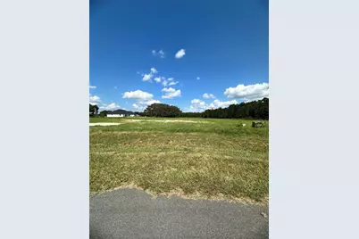 20276 Shoreline Ranch Lane, Umatilla, FL 32784 - Photo 3