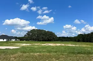 20276 Shoreline Rnch Ln, Umatilla, FL 32784 - Photo 1