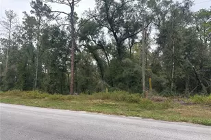 8723 N Alameda Dr, Dunnellon, FL 34434 - Photo 1