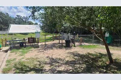 25205 NE 142 Nd Street, Salt Springs, FL 32134 - Photo 23