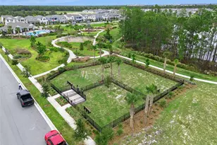 14010 Scarlet Aster Aly, Winter Garden, FL 34787 - Photo 53