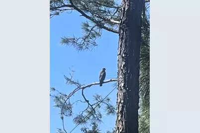 9330 San Jose Boulevard, Howey in the Hills, FL 34737 - Photo 65