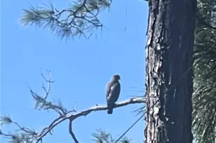 9330 San Jose Blvd, Howey in the Hills, FL 34737 - Photo 65