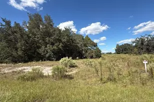 Lot 15 & 16 SW 105th Pl, Dunnellon, FL 34432 - Photo 1