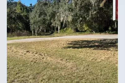 11542 S US Highway 301, Webster, FL 33597 - Photo 5