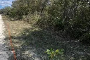 7143 Alloy St, Ridge Manor Estates, FL 33597 - Photo 1