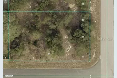 000 SE 88th Avenue, Summerfield, FL 34491 - Photo 3