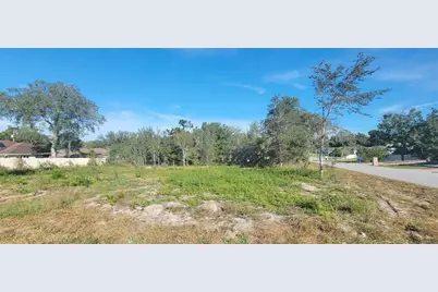 000 SE 88th Avenue, Summerfield, FL 34491 - Photo 7