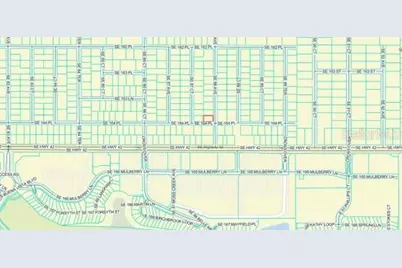 000 SE 88th Avenue, Summerfield, FL 34491 - Photo 5